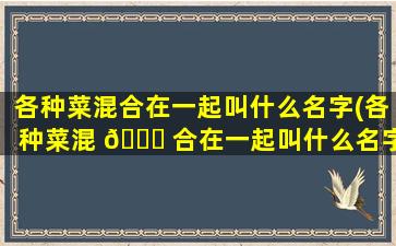 各种菜混合在一起叫什么名字(各种菜混 🐒 合在一起叫什么名字来着)